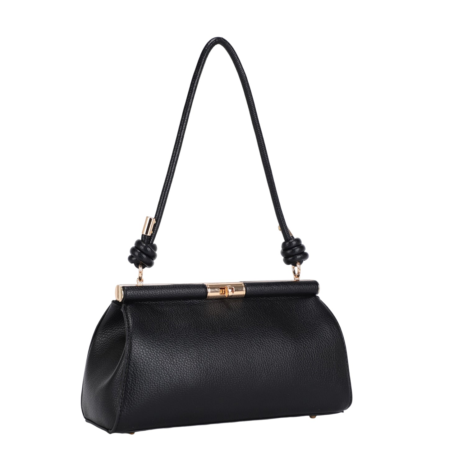 Sienna Luxe Frame Shoulder Bag